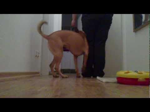 Grundstellung - Der kleine aber feine Unterschied