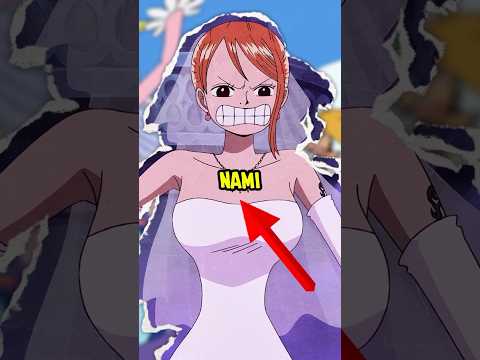 The girl Luffy like is Nami 😍