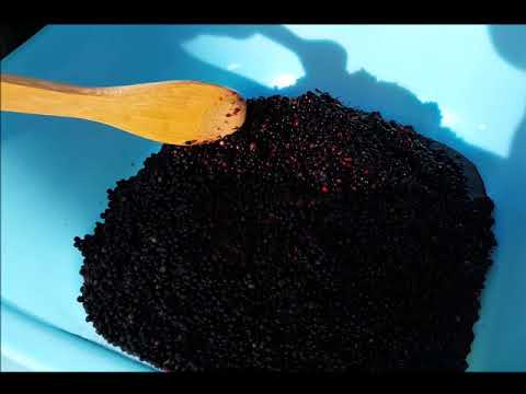 Tomatenpresse | Fruchtpresse Reber | Praxistest und Tipps