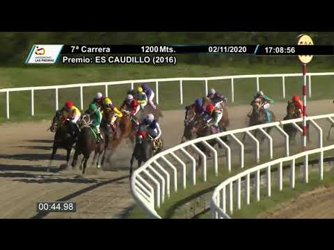 201102 c07 - OLYMPIC KITE - HIPODROMO LAS PIEDRAS