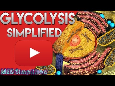 Glycolysis Pathway Made Simple !!  Biochemistry Lecture on Glycolysis