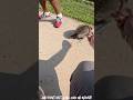 I’ll Shoot You AND Your Raccoon!
