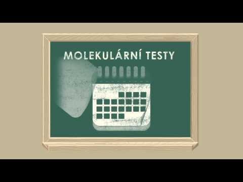 CML Patient Video: What you need to know about testing and monitoring (Czech)