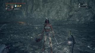 Bloodborne®_ウンコ作戦（14739ダメージ）でノダメw