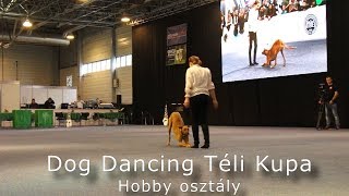 Dog Dancing Téli Kupa - Hobby Osztály