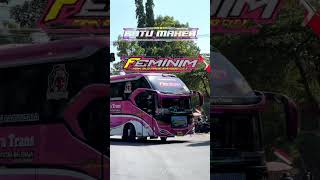 Download lagu story wa bus sjm trans Ratu Maher Ft Wijaya trans Gendhis #basuri  #cinematicbus #busmania #shorts mp3