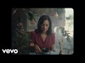 La Nostalgia by Julieta Venegas