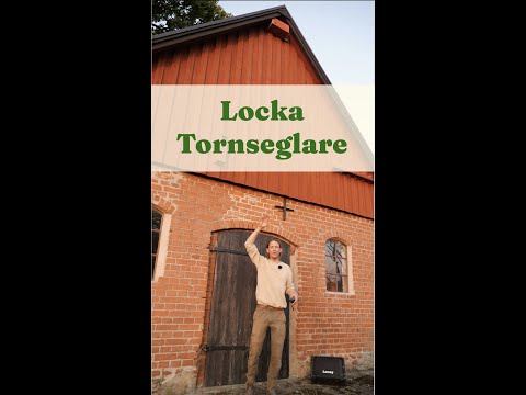 Locka tornseglare - Trädgårdshacks med GardenR