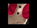 Red Vest Snow Miser Mash Up
