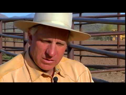 The Real Horse Whisperer - A Conversation With Buck Brannaman