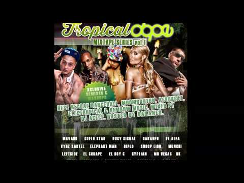 (PROMO) TROPICAL DOPE MIXTAPE - DJ ACECE