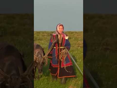 🤔 Дисциплины северного многоборья. Интересные факты о жизни ненцев #shorts