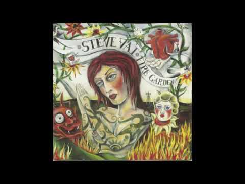 STEVE VAI  -  THE CRYING MACHINE