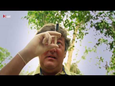 3sat - Die Letzten ihrer Art (2/5)