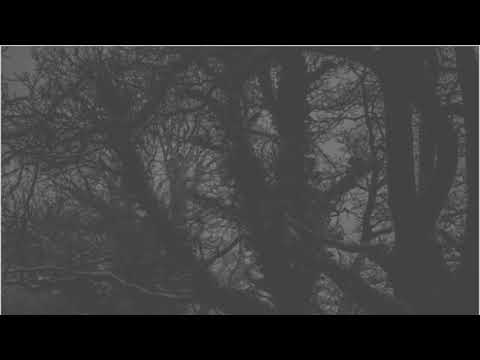 Video thumbnail 8qmmYqk1DBE