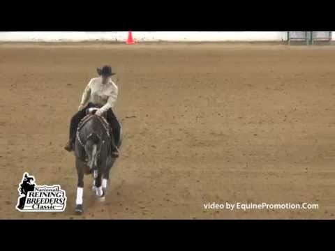 Paparazzi Princess ridden by Kelle Smith - 2014 NRBC(NP Classic 1st Go)