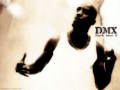 DMX - Y'all Niggas Bounce 