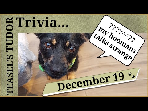 Teasel's Tudor Trivia  - 19 December  -  Pronouncing Tudor and British names