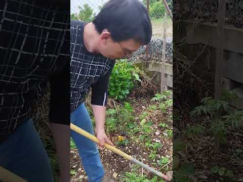 Titre de la vidéo