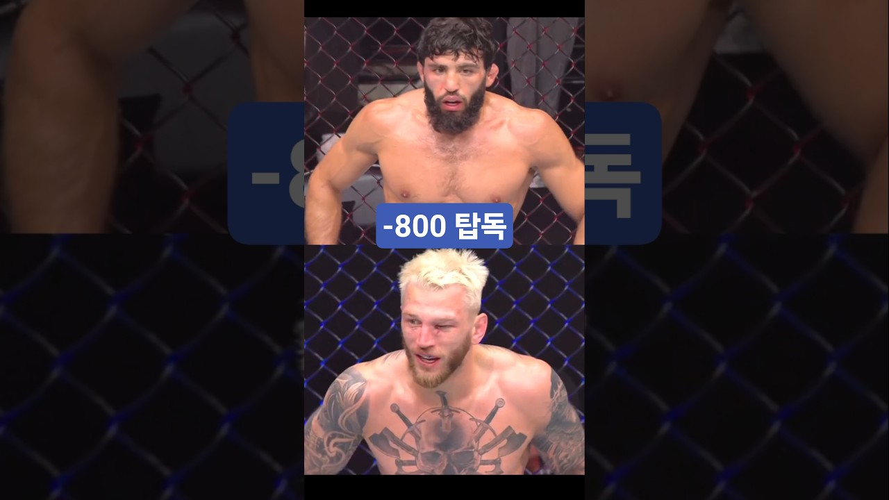 재벌집 아들내미 싸움 1짱 압도적인 -800 탑독 사루키안.. 토푸리아 최대의 대항마?