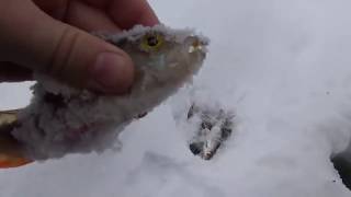 Зимние блесна и мормышки своими руками