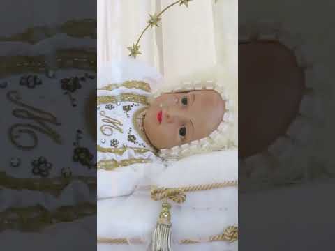 Natividad Sma. Virgen María - Colonia América, San Salvador 2025.