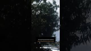 Download lagu story wa lagu bugis sedih mp3 Download lagu story wa lagu bugis sedih mp3
