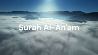 Download lagu 6. Surah Al-Anam. Sheik Hani Ar-Rifai mp3
