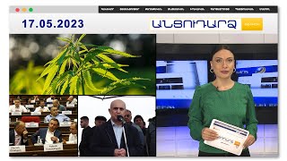 Կանեփը օգտակար բույս է, պետք է կարծրատիպ կոտրել. ՔՊ պատգամավոր