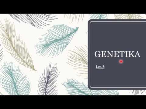 LEWENSWETENSKAP GRAAD 12: 30 April 2020 - periode 7 (30127)