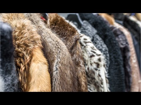 Prada pledges to be fur free by 2020