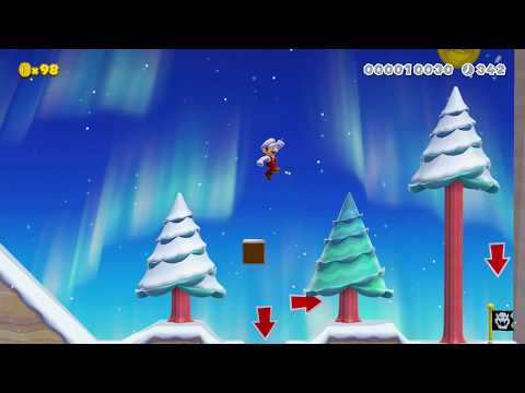 Super Mario Maker 2 - new super mario bros cat parte 15 by cat make* - No Commentary