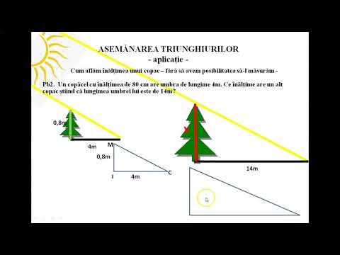 Asemănarea triunghiurilor - aplicații practice.