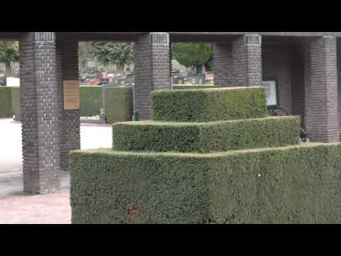 Jüdischer Friedhof  Frankfurt am Main