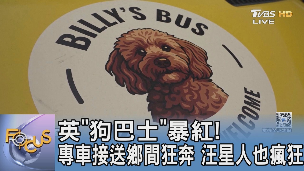 英「狗巴士」暴紅！ 專車接送鄉間狂奔 汪星人也瘋狂