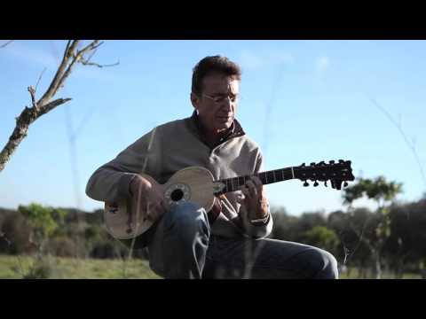 José Marques - laranjeira