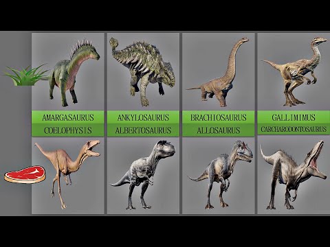 CARNIVORE DINOSAURS VS HERBIVORE DINOSAURS | Comparison