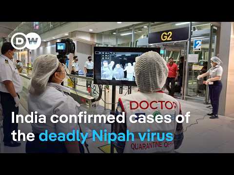 How deadly is the Nipah virus compared to the Coronavirus? | DW News