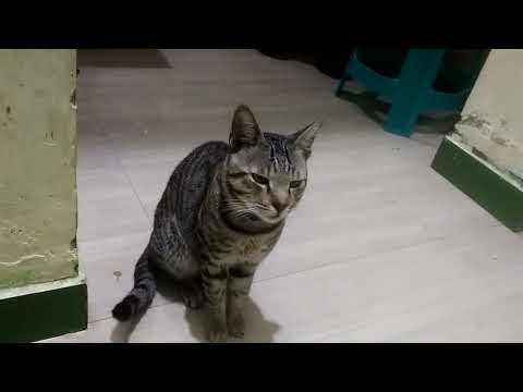 Jacky don vs rose 🌹 baby 🍼