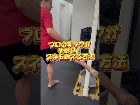 【プロ級】キックがやばい！スネを鍛える方法#ボクシング#キックボクシング#鈴木悟