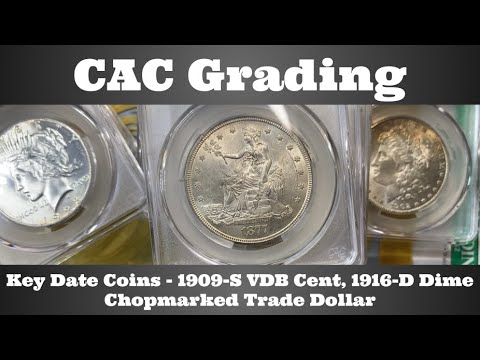 CAC Grading CACG Open Box - Chopmarked Trade Dollar & Key Date Coins - 1909-S VDB, 1916-D 10¢, More