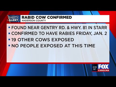 Several livestock exposed after cow tests positive for rabies in Anderson Co.