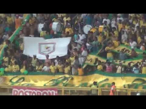 "Rebelión Auriverde Norte - Auriverde de mi vida, yo te quiero de verdad." Barra: Rebelión Auriverde Norte &bull; Club: Real Cartagena