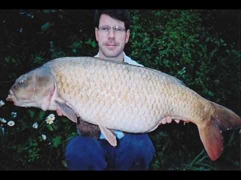 HOMEMADE CARP BOILIE BAIT RECIPE SECRETS FOOD BOILIE FLAVOUR TIPS!