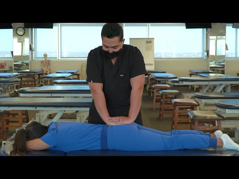 OMT: ART/VIS Sacral Rock