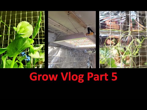 Gardening Indoors Vlog Part 1 of 10