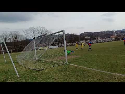 Rezumat Aurul Brad - Ponorul Vata 7-1