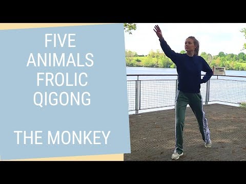 The Monkey Movement - Five Animals Frolic Qigong