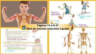Páginas 11 a la 27 libro ciencias naturales 3 grado.