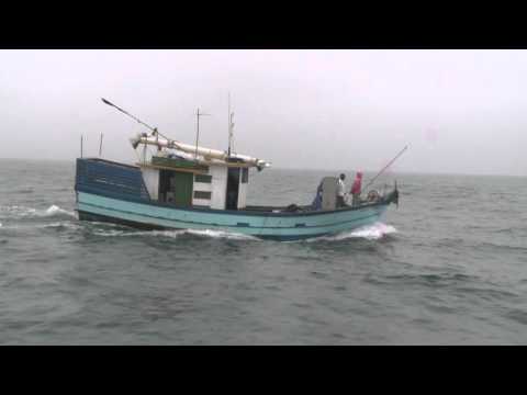 Preservação ambiental: limpeza no fundo do mar na ilha do arvoredo